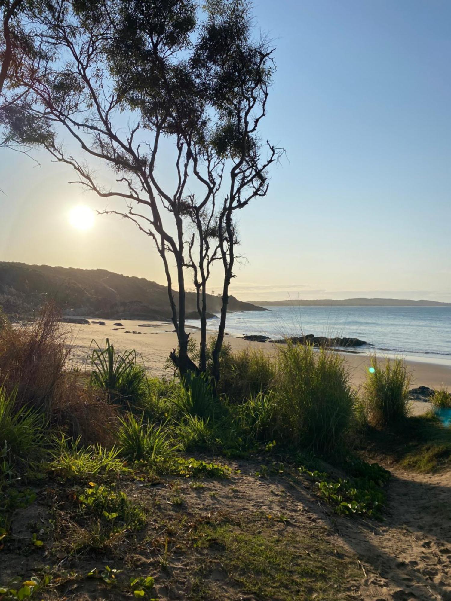 Seahorse Bed and Breakfast Agnes Water Εξωτερικό φωτογραφία